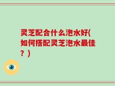 灵芝配合什么泡水好(如何搭配灵芝泡水最佳？)