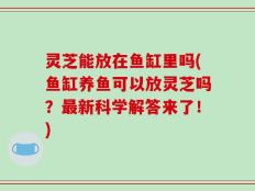 灵芝能放在鱼缸里吗(鱼缸养鱼可以放灵芝吗？最新科学解答来了！)
