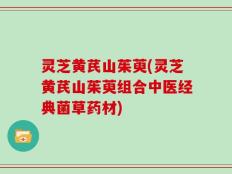 灵芝黄芪山茱萸(灵芝黄芪山茱萸组合中医经典菌草药材)