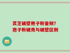 灵芝破壁袍子粉鉴别？孢子粉破壳与破壁区别