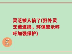 灵芝被人摘了(野外灵芝遭盗摘，环保警示呼吁加强保护)