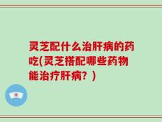 灵芝配什么治肝病的药吃(灵芝搭配哪些药物能治疗肝病？)
