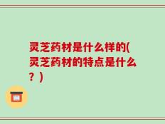 灵芝药材是什么样的(灵芝药材的特点是什么？)