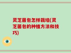 灵芝菌包怎样栽培(灵芝菌包的种植方法和技巧)