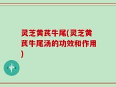 灵芝黄芪牛尾(灵芝黄芪牛尾汤的功效和作用)
