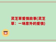 灵芝草爱情故事(灵芝草：一场意外的爱情)