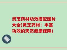 灵芝药材功效搭配图片大全(灵芝药材：丰富功效的天然健康保障)