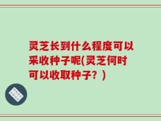 灵芝长到什么程度可以采收种子呢(灵芝何时可以收取种子？)