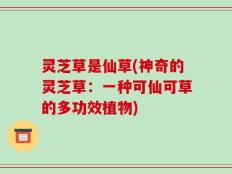 灵芝草是仙草(神奇的灵芝草：一种可仙可草的多功效植物)