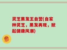 灵芝黑发王自营(自家种灵芝，黑发再现，掀起健康风潮)