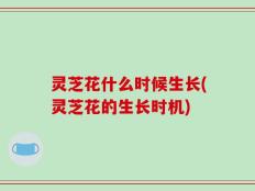 灵芝花什么时候生长(灵芝花的生长时机)