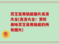 灵芝鸳鸯锅底图片高清大全(高清大全！赏析美味灵芝鸳鸯锅底的所有图片)
