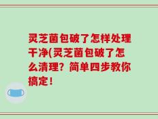灵芝菌包破了怎样处理干净(灵芝菌包破了怎么清理？简单四步教你搞定！