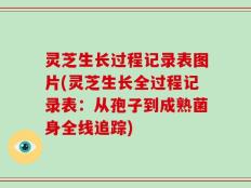 灵芝生长过程记录表图片(灵芝生长全过程记录表：从孢子到成熟菌身全线追踪)