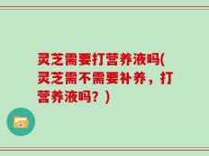 灵芝需要打营养液吗(灵芝需不需要补养，打营养液吗？)