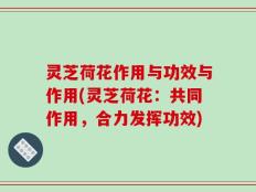 灵芝荷花作用与功效与作用(灵芝荷花：共同作用，合力发挥功效)