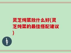 灵芝炖菜放什么好(灵芝炖菜的最佳搭配建议)