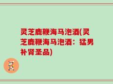 灵芝鹿鞭海马泡酒(灵芝鹿鞭海马泡酒：猛男补肾圣品)