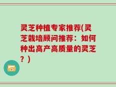 灵芝种植专家推荐(灵芝栽培顾问推荐：如何种出高产高质量的灵芝？)