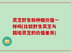 灵芝野生和种植价值一样吗(比较野生灵芝与栽培灵芝的价值差异)