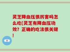 灵芝降血压很厉害吗怎么吃(灵芝有降血压功效？正确的吃法很关键!