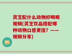 灵芝配什么动物好喝呢视频(灵芝饮品搭配哪种动物口感更佳？——视频分享)