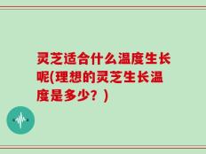 灵芝适合什么温度生长呢(理想的灵芝生长温度是多少？)