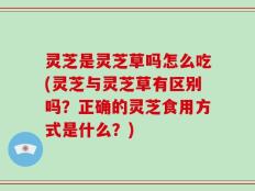 灵芝是灵芝草吗怎么吃(灵芝与灵芝草有区别吗？正确的灵芝食用方式是什么？)