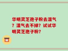 华明灵芝孢子粉去湿气？湿气去不掉？试试华明灵芝孢子粉？