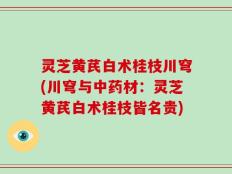 灵芝黄芪白术桂枝川穹(川穹与中药材：灵芝黄芪白术桂枝皆名贵)