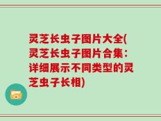 灵芝长虫子图片大全(灵芝长虫子图片合集：详细展示不同类型的灵芝虫子长相)