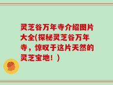 灵芝谷万年寺介绍图片大全(探秘灵芝谷万年寺，惊叹于这片天然的灵芝宝地！)