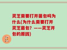 灵芝需要打开菌包吗为什么(为什么需要打开灵芝菌包？——灵芝开包的原因)