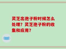 灵芝出孢子粉时候怎么处理？灵芝孢子粉的收集和应用？