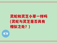 灵蛇和灵芝小草一样吗(灵蛇与灵芝是否具有相似之处？)