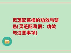 灵芝配葛根的功效与禁忌(灵芝配葛根：功效与注意事项)