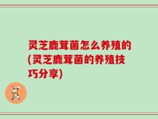 灵芝鹿茸菌怎么养殖的(灵芝鹿茸菌的养殖技巧分享)