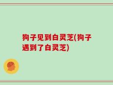 狗子见到白灵芝(狗子遇到了白灵芝)