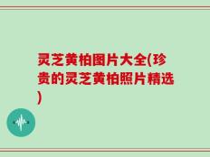 灵芝黄柏图片大全(珍贵的灵芝黄柏照片精选)