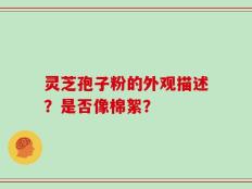 灵芝孢子粉的外观描述？是否像棉絮？