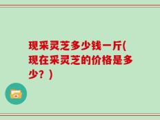 现采灵芝多少钱一斤(现在采灵芝的价格是多少？)