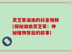 灵芝草湖南的抖音视频(探秘湖南灵芝草：神秘植物背后的故事)
