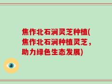 焦作北石涧灵芝种植(焦作北石涧种植灵芝，助力绿色生态发展)