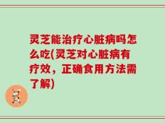 灵芝能治疗心脏病吗怎么吃(灵芝对心脏病有疗效，正确食用方法需了解)