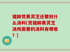 猪脚煲黑灵芝还要放什么汤料(煲猪脚黑灵芝汤所需要的汤料有哪些？)
