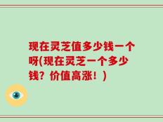 现在灵芝值多少钱一个呀(现在灵芝一个多少钱？价值高涨！)