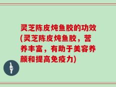 灵芝陈皮炖鱼胶的功效(灵芝陈皮炖鱼胶，营养丰富，有助于美容养颜和提高免疫力)