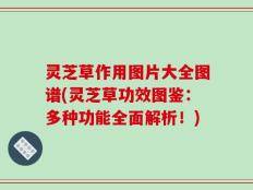 灵芝草作用图片大全图谱(灵芝草功效图鉴：多种功能全面解析！)
