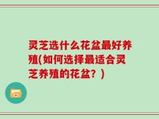 灵芝选什么花盆最好养殖(如何选择最适合灵芝养殖的花盆？)