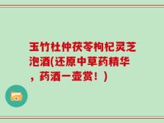 玉竹杜仲茯苓枸杞灵芝泡酒(还原中草药精华，药酒一壶赏！)